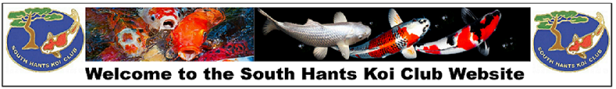 South Hants Koi Club